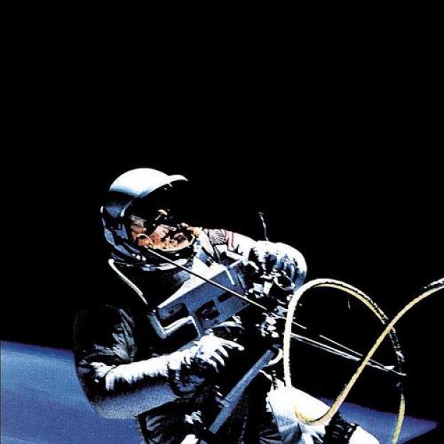 The Afghan Whigs - 1965 (1998)
