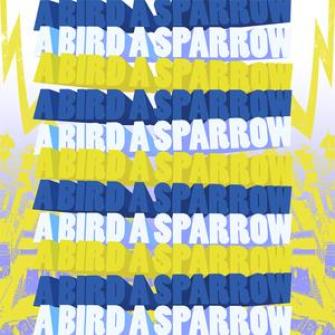 A Bird A Sparrow - A Bird A Sparrow (2008)