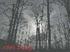 A Blind Prophecy - A Silent Omen (2005)