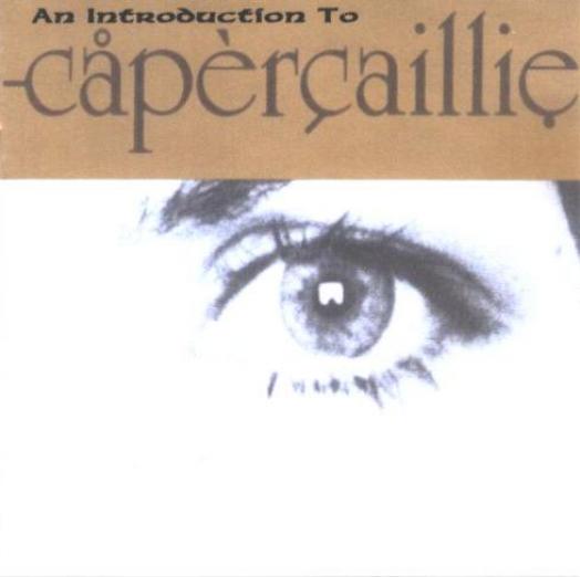 Capercaillie Islay Ranter S Reels歌詞 歌曲翻譯 在線收聽capercaillie Islay Ranter S Reels