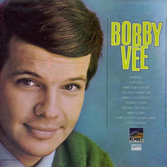 Bobby Vee Rubber Ballの歌詞、曲の翻訳 Bobby Vee Rubber Ballをオンラインで聞く