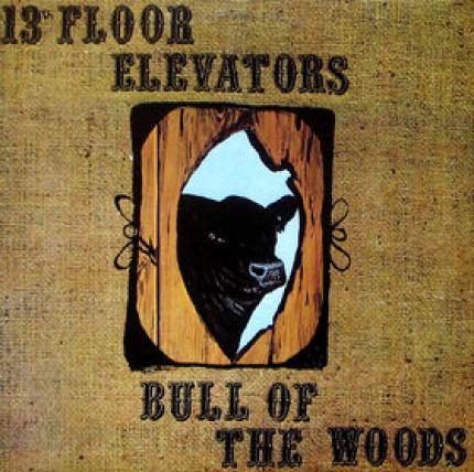 13th Floor Elevators - Bull Of The Woods (1969)
