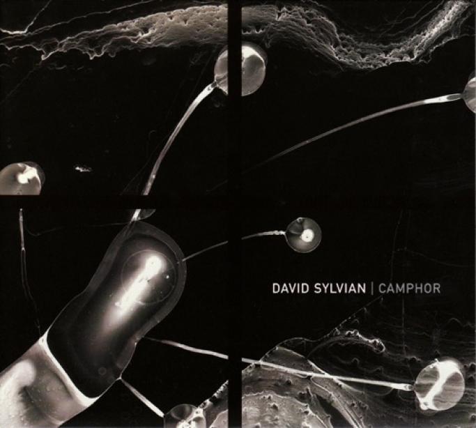 David Sylvian - Camphor (2002)