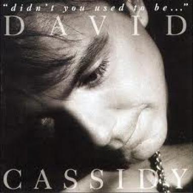 David Cassidy - Didn't You Used To Be? (1992)