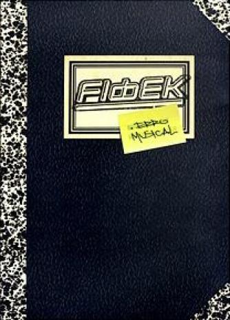 Fidbek - Erro Musical (2003)