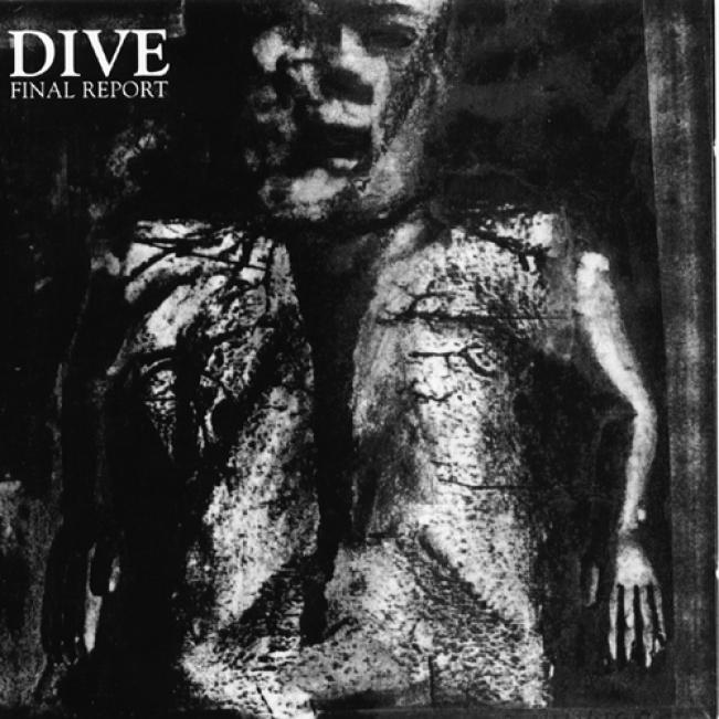 Dive - Final Report (1991)