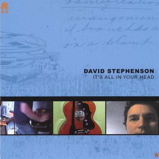 David Stephenson - It's All In Your Head (2001)