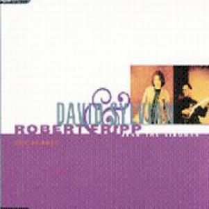 David Sylvian & Robert Fripp - Jean The Birdman (1993)