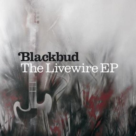 Blackbud - Livewire (2002)