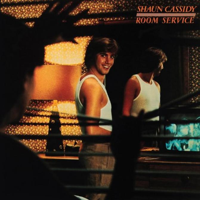 を聞くShaun Cassidy Fallin' Into You オンライン