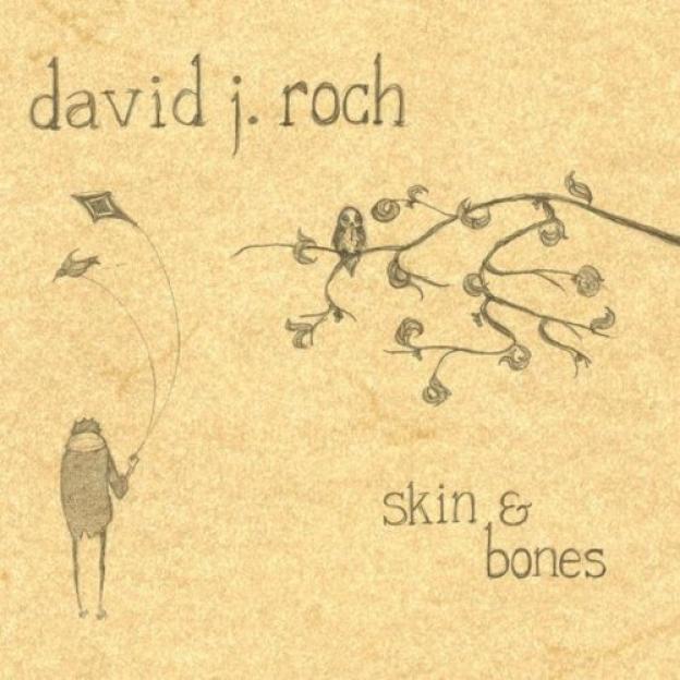 David J. Roch - Skin & Bones (2011)