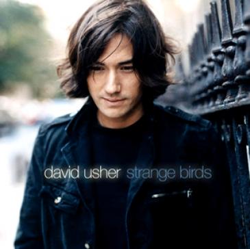 David Usher - Strange Birds (2007)