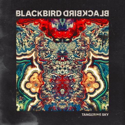 Blackbird Blackbird - Tangerine Sky (2014)
