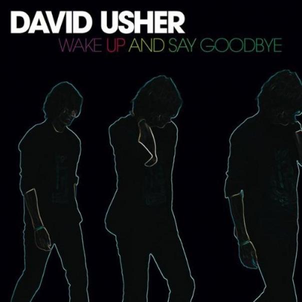 David Usher - Wake Up And Say Goodbye (2008)