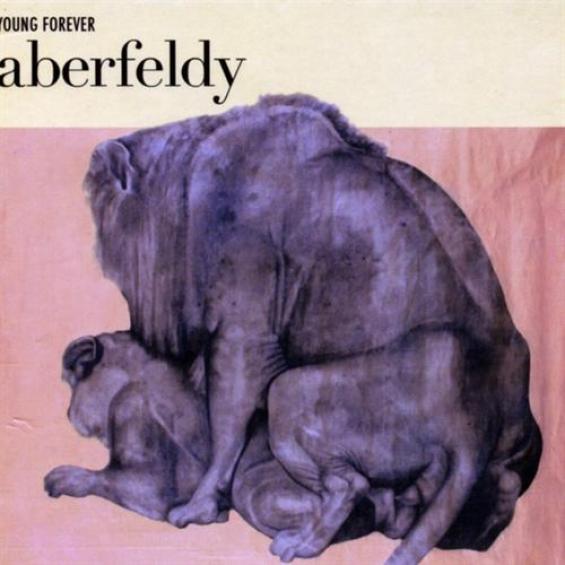 Aberfeldy - Young Forever (2004)